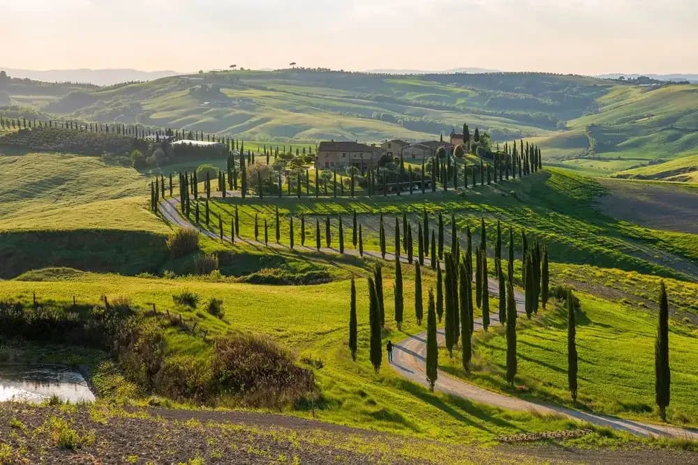 Organizzare un matrimonio in Italia dall’estero: la guida completa