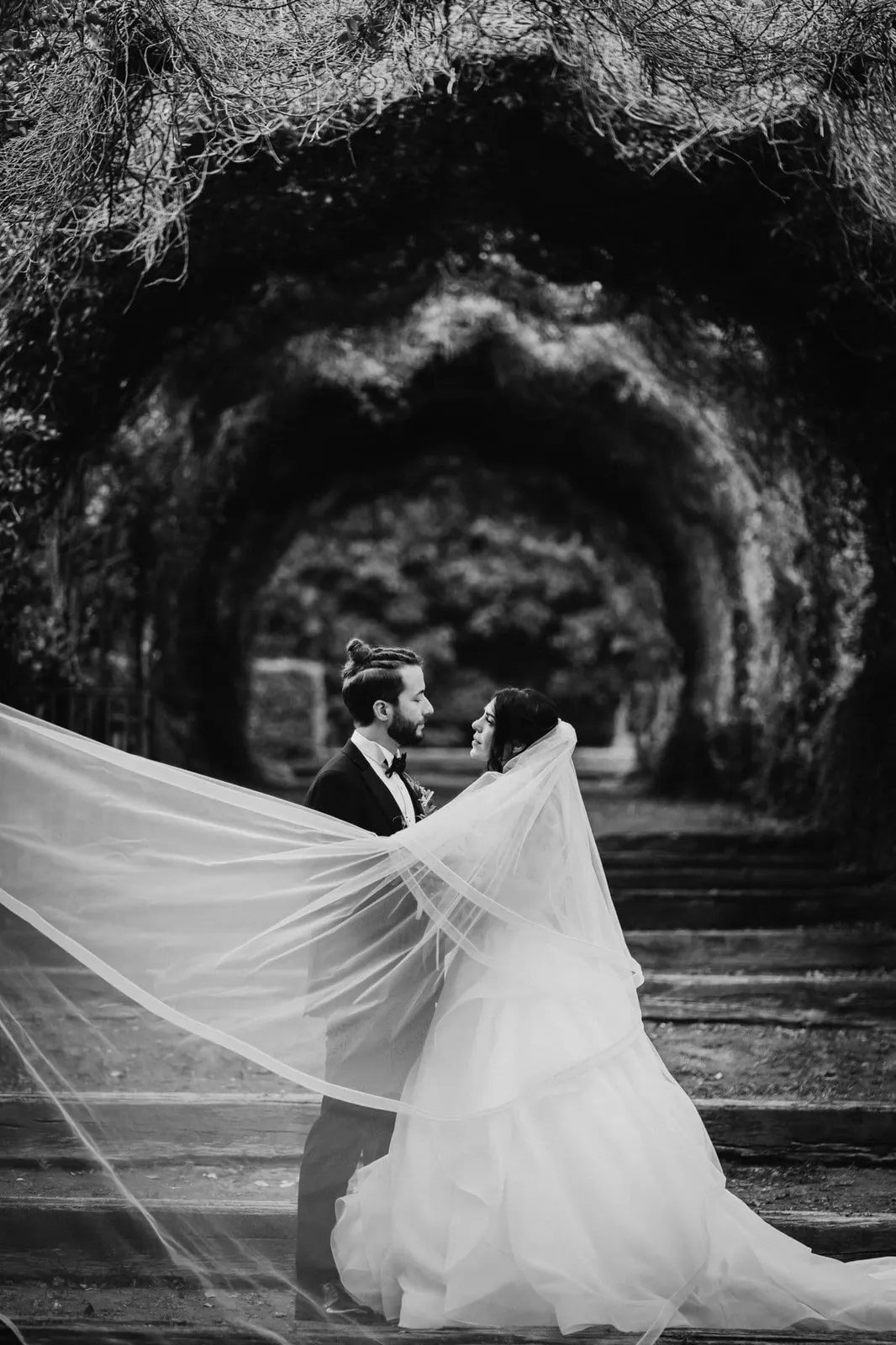 San pietro sopra le acque couple forest secular woods